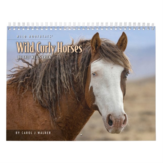 Vild Curly Horses of Salt Wells Bäck Calendar Kalender (Omslag)