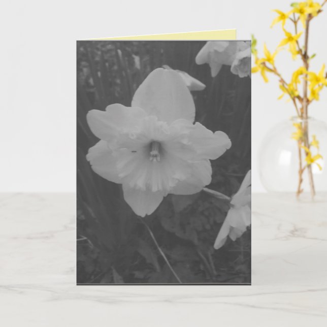 Vild Daffodil Kort (Gul blomma)
