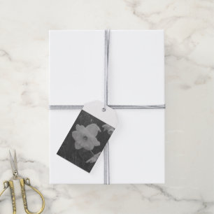 Vild Daffodil Presentetikett