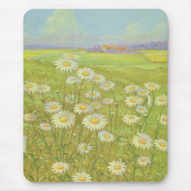 Vild Daisy av Cargill, 1937 Musmatta (Framsidan)