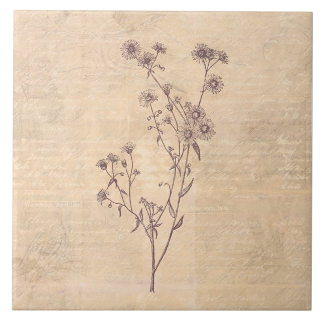 Vild Daisy Blommar jokertecken Papprare Kakelplatta (Framsidan)