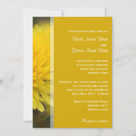 Vild dandelion blommor vår, sommar, bröllop inbjudningar