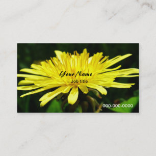 vild dandelionblommor. visitkort