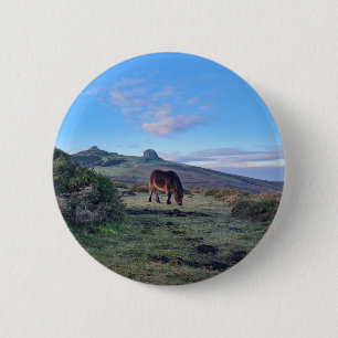 Vild Dartmoor Pony Horse Knapp