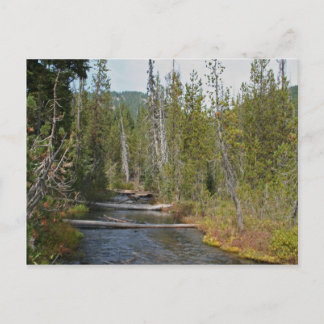 Vild Deschutes River, Oregon Vykort