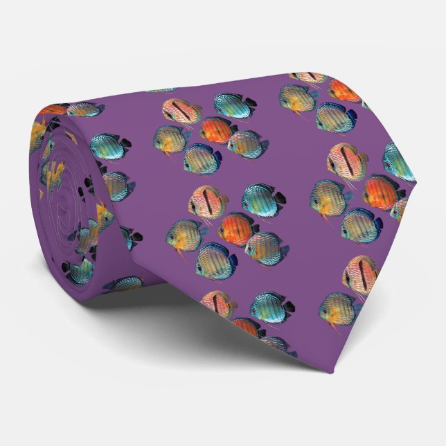 Vild Discus Fish Slips (Rullad)
