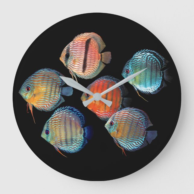 Vild Discus-fisk Stor Klocka (Framsida)