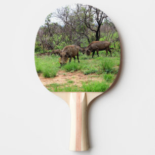 Vild Djurförsöksdjur Pingisracket