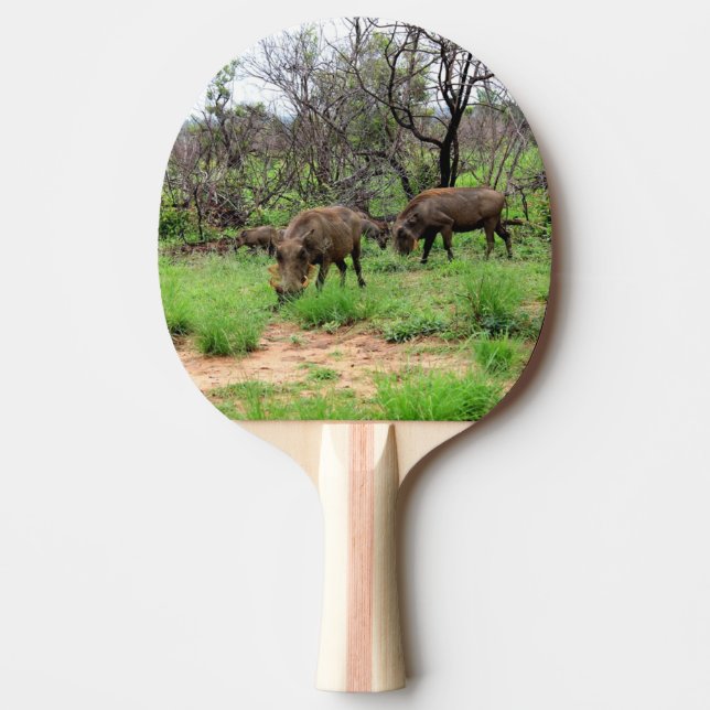 Vild Djurförsöksdjur Pingisracket (Framsidan)