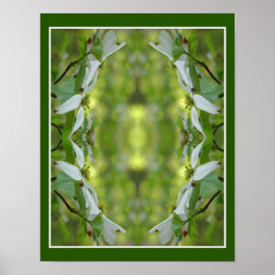 Vild Dogwood Flower Blommars Abstrakt Poster