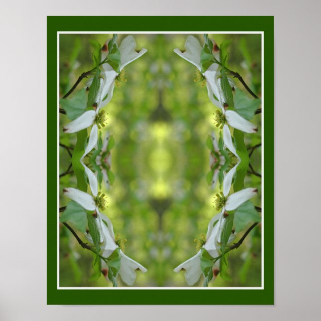 Vild Dogwood Flower Blommars Abstrakt Poster (Framsidan)