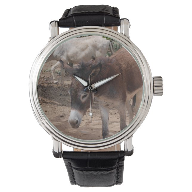 Vild Donkey Armbandsur (Framsida)
