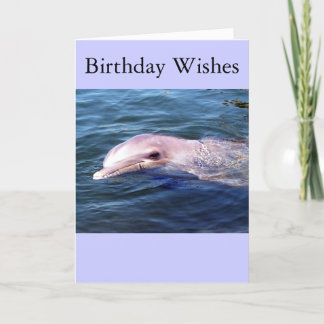 Vild Dophin Kort