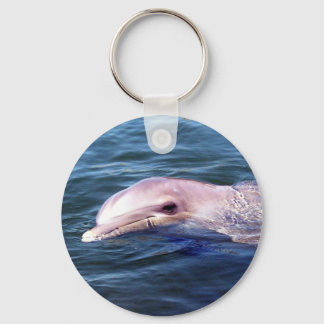 Vild Dophin Nyckelring