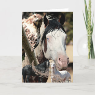 Vild Dreams and Feathers ’Mustang Meg’ VILD CARD Tack Kort