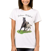 Vild Dulmen Horse Cute Foal _ Dülmener Wildpferde