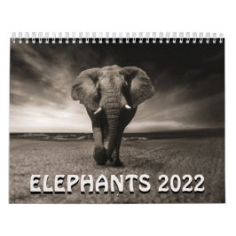 Vild elefanter 2022 kalender