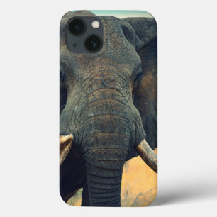 Vild Elephant Close Up iPad Air fodral