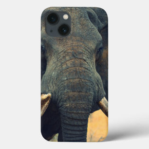 Vild Elephant Close Up iPad Mini fodral