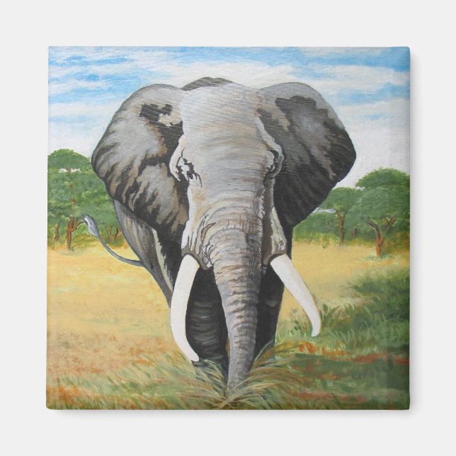Vild Elephant Magnet (Framsidan)