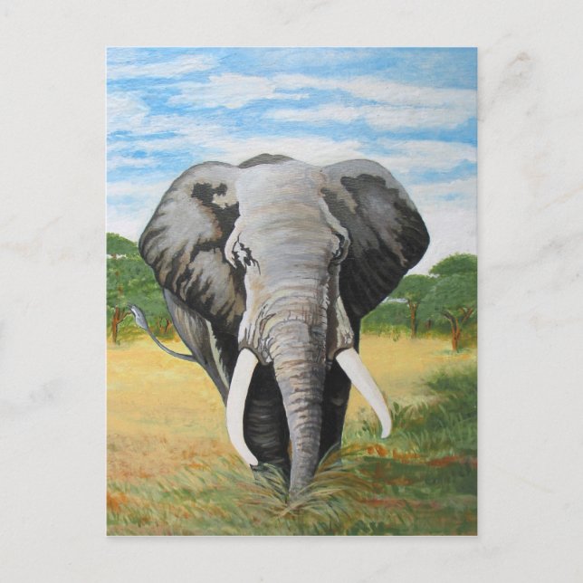 Vild Elephant Vykort (Framsida)
