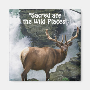 Vild Elk & Waterfall Wilderness Gift Magnet