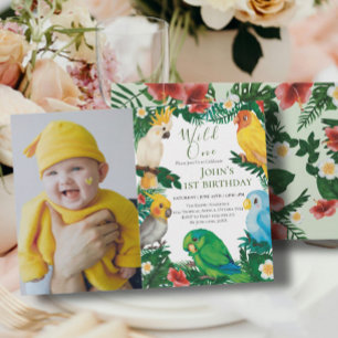 Vild en tropisk exotisk papegojpojke 1-årsdag inbjudningar