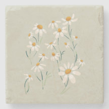Vild Estetisk Kamomill Ömtåliga Blommor