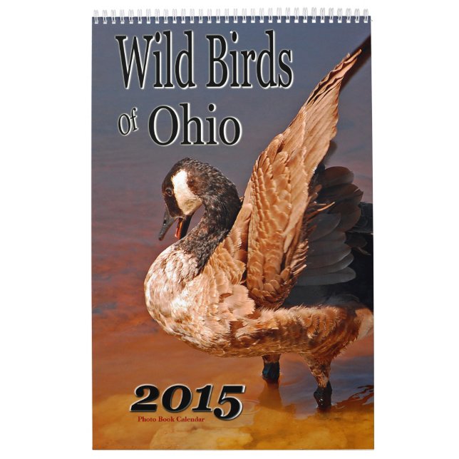 Vild fåglar i Ohio Calendar Kalender (Omslag)