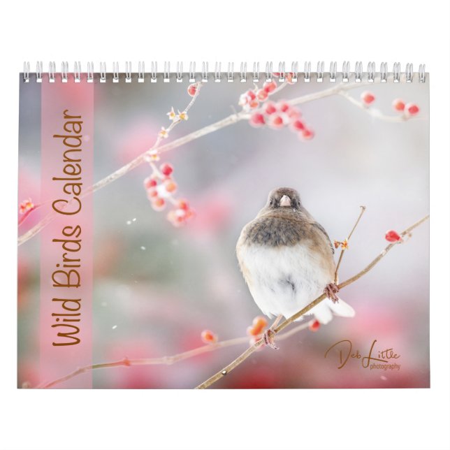 Vild Fåglar Kalender (Omslag)
