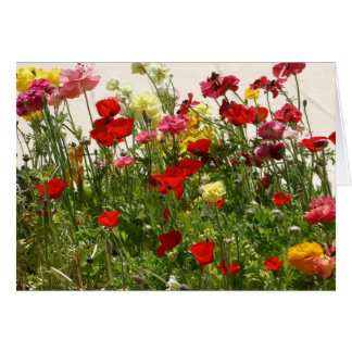 Vild fält hälsningskort