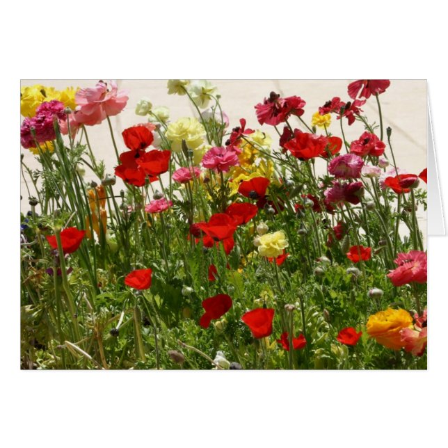 Vild fält hälsningskort (Framsidan Horizontal)