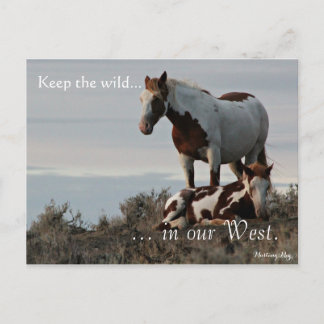 Vild Family, föradresserad: Sec of the Insida Vykort