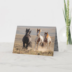 Vild Family Springa Horse Greeting Card Kort