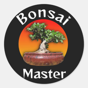 Vild Fig Bonsai Master Sunset Runt Klistermärke