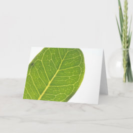 Vild Fig Rik Grönt Löv Struktur Greeting Card Helgkort