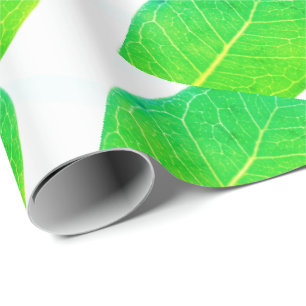 Vild Fik Rik Grön Bladstruktur Ins wrapping Papper Presentpapper