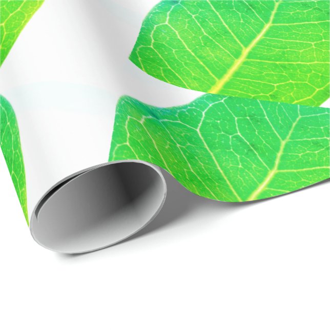 Vild Fik Rik Grön Bladstruktur Ins wrapping Papper Presentpapper (Rullad Hörn)