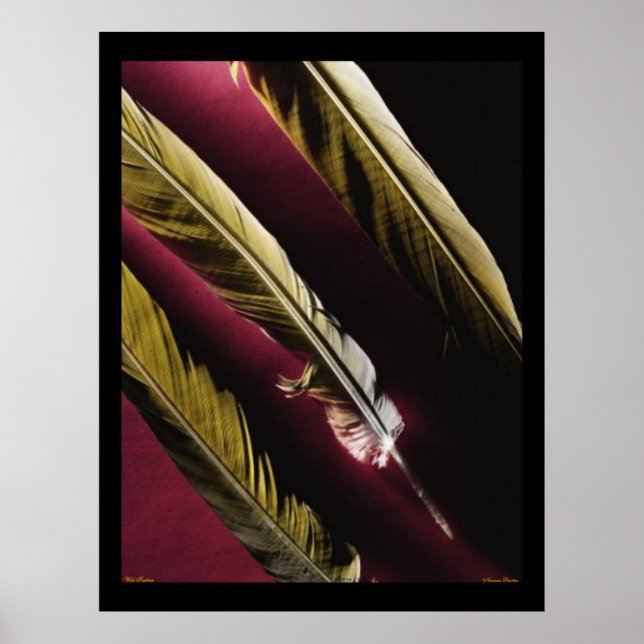 Vild Fjädrar Poster (Framsidan)