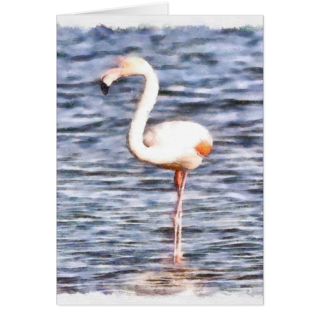 Vild Flamingo Hälsningskort (Framsidan)