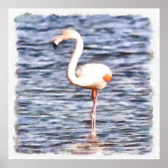 Vild Flamingo Poster (Framsidan)