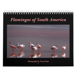 Vild Flamingo South America Birds Kalender