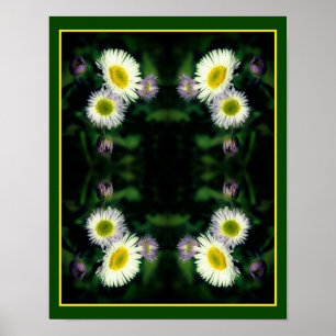 Vild Fleabane-Daisy Blunda Stäng upp Abstrakt Poster