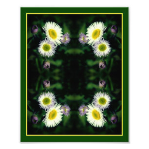 Vild Fleabane Daisy Flower Abstrakt 8x10 Fototryck