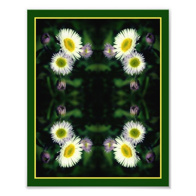Vild Fleabane Daisy Flower Abstrakt 8x10 Fototryck (Framsidan)