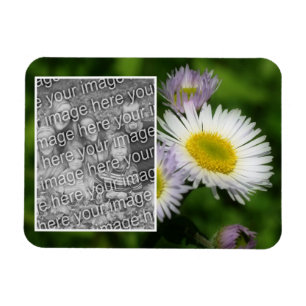 Vild Fleabane Daisy Flower Ram Lägg till ditt foto Magnet