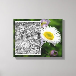 Vild Fleabane Daisy Flower Skapar ditt eget foto Canvastryck