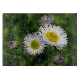 Vild Fleabane Daisy Flowers Nature