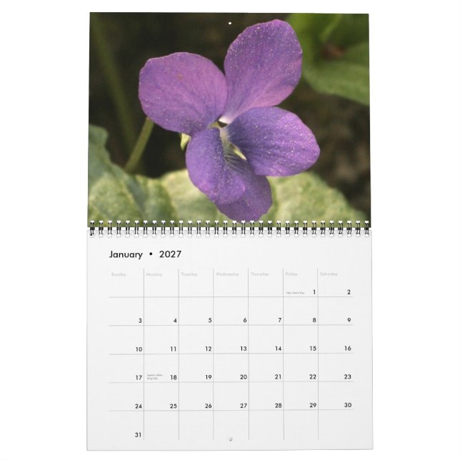 Vild Flowers, av Ocmulgee Trail Kalender (Jan 2027)