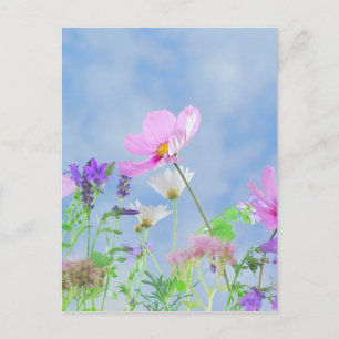 Vild Flowers Blå himmel Vykort